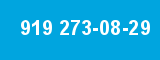 919 273-08-29